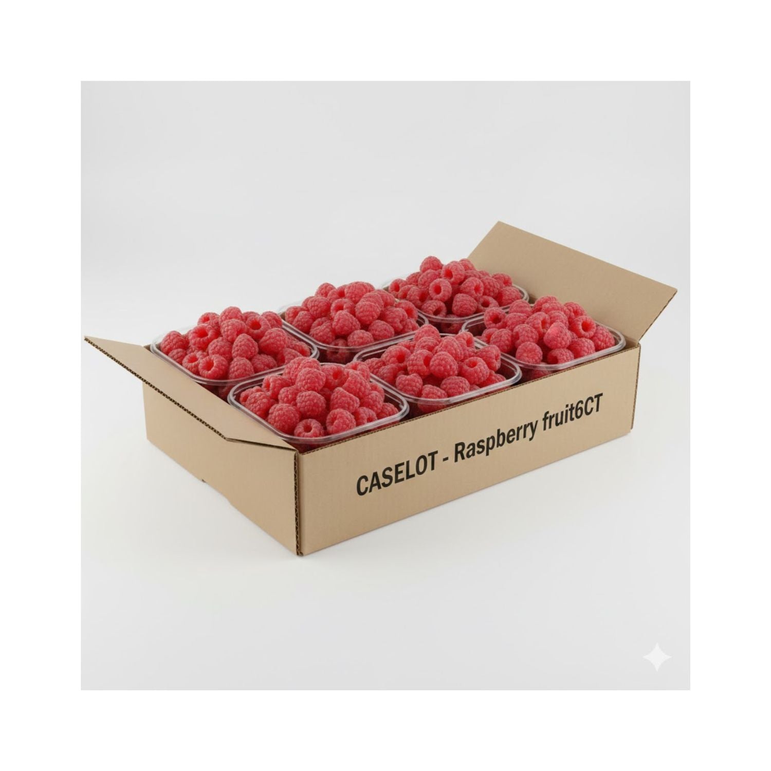 CASELOT - Raspberry 6CT