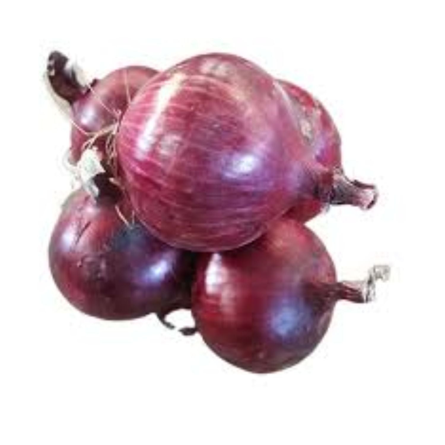CASELOT - Red onion 50lb