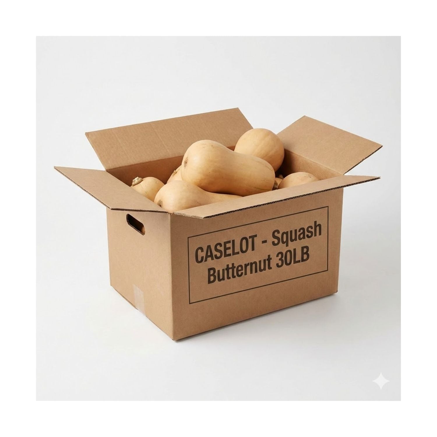 CASELOT - Squash Butternut 30LB