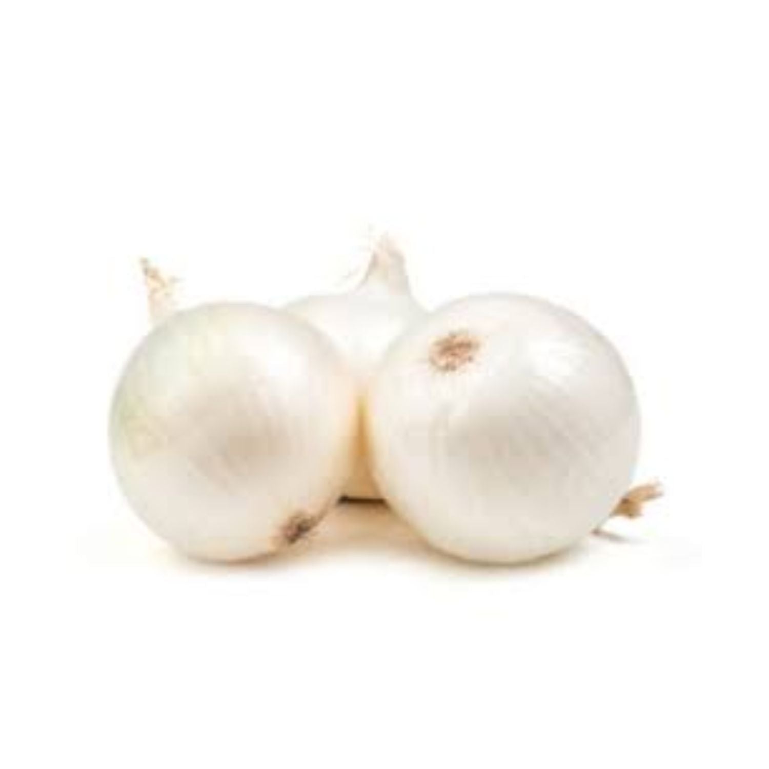 CASELOT - White onion med 50LB