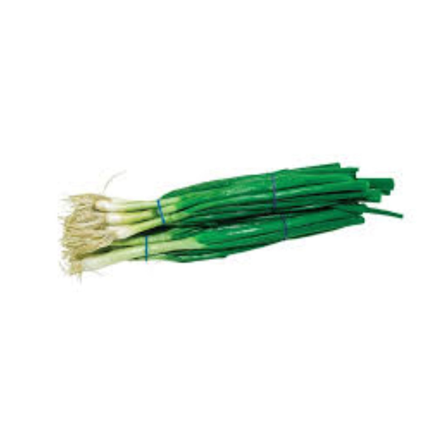 CASELOT- green onion 48ct