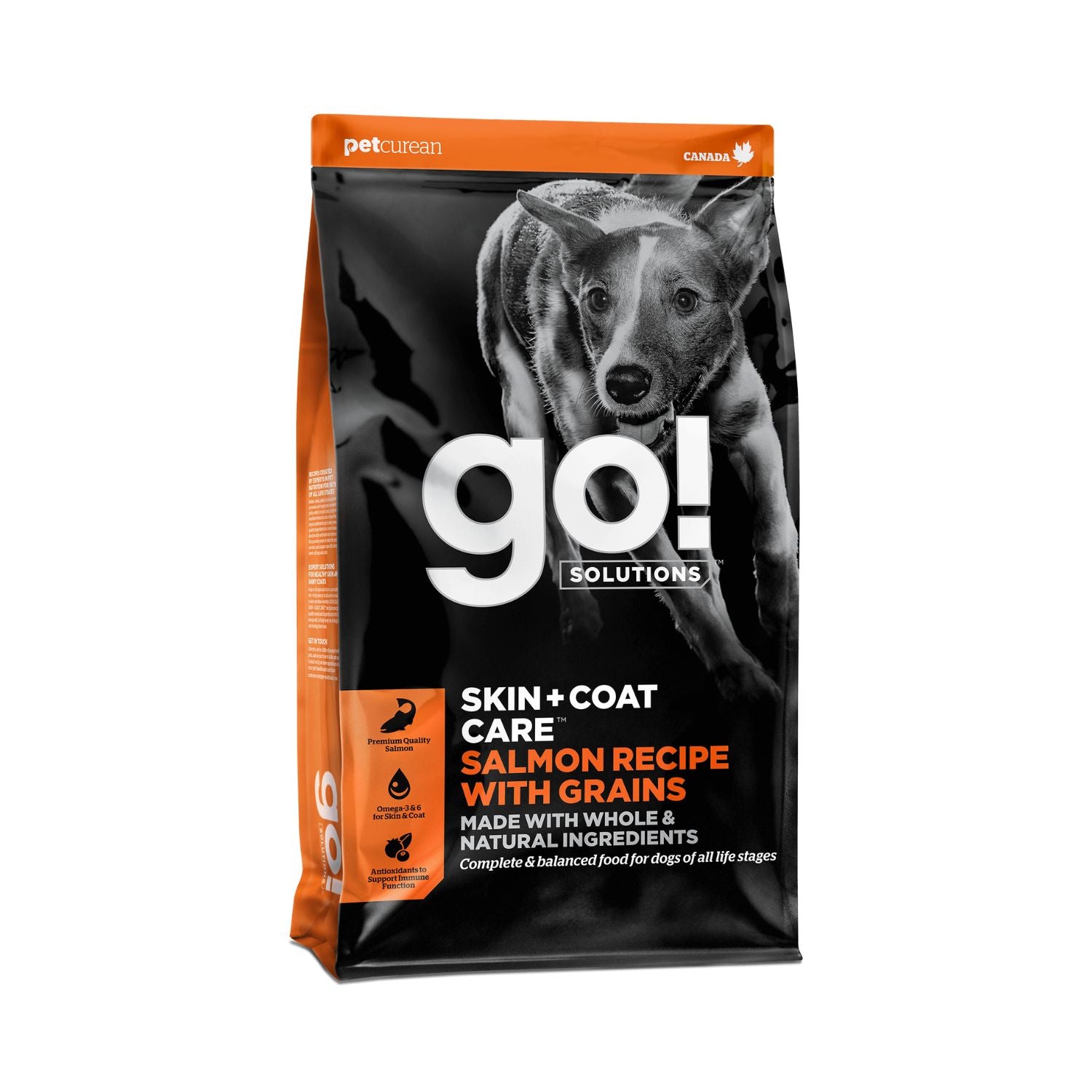 GO! Solutions Skin & Coat Salmon Recipe 22LB