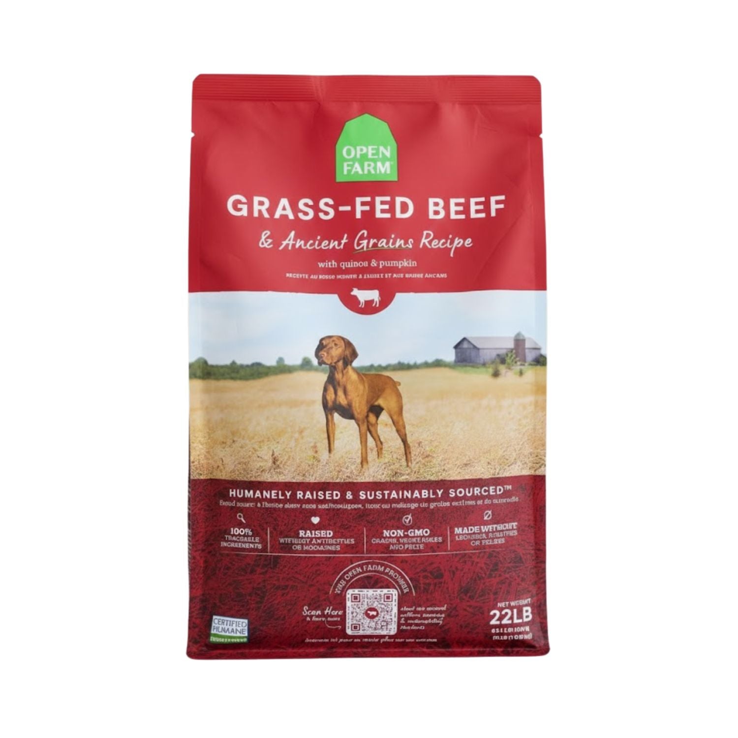 Open Farm Dog GF Grass-Fed Beef 22 lb