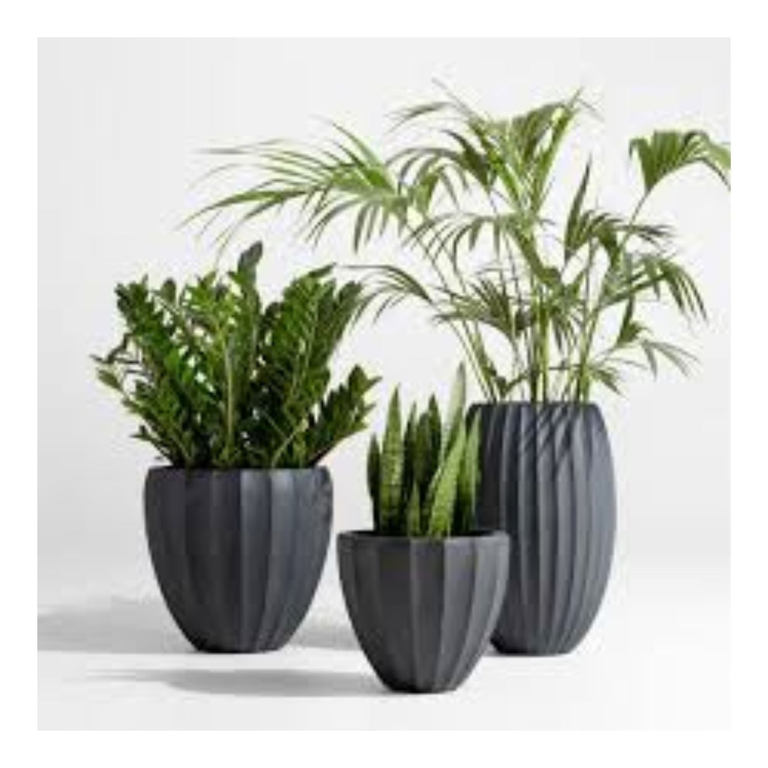 Ficonstone pot