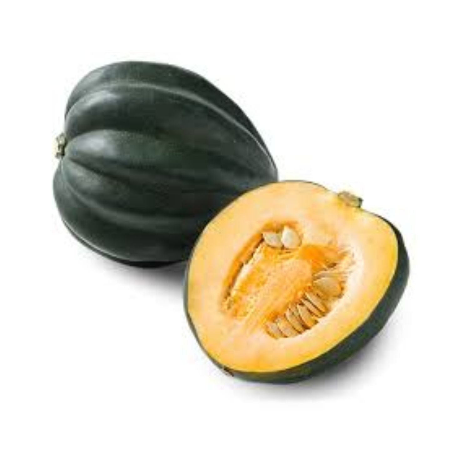 Squash Acorn