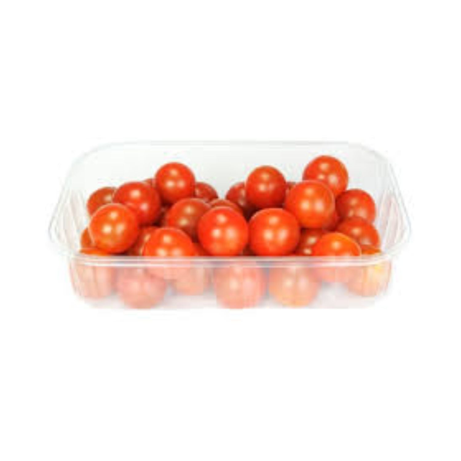 Tomato Cherry Pint