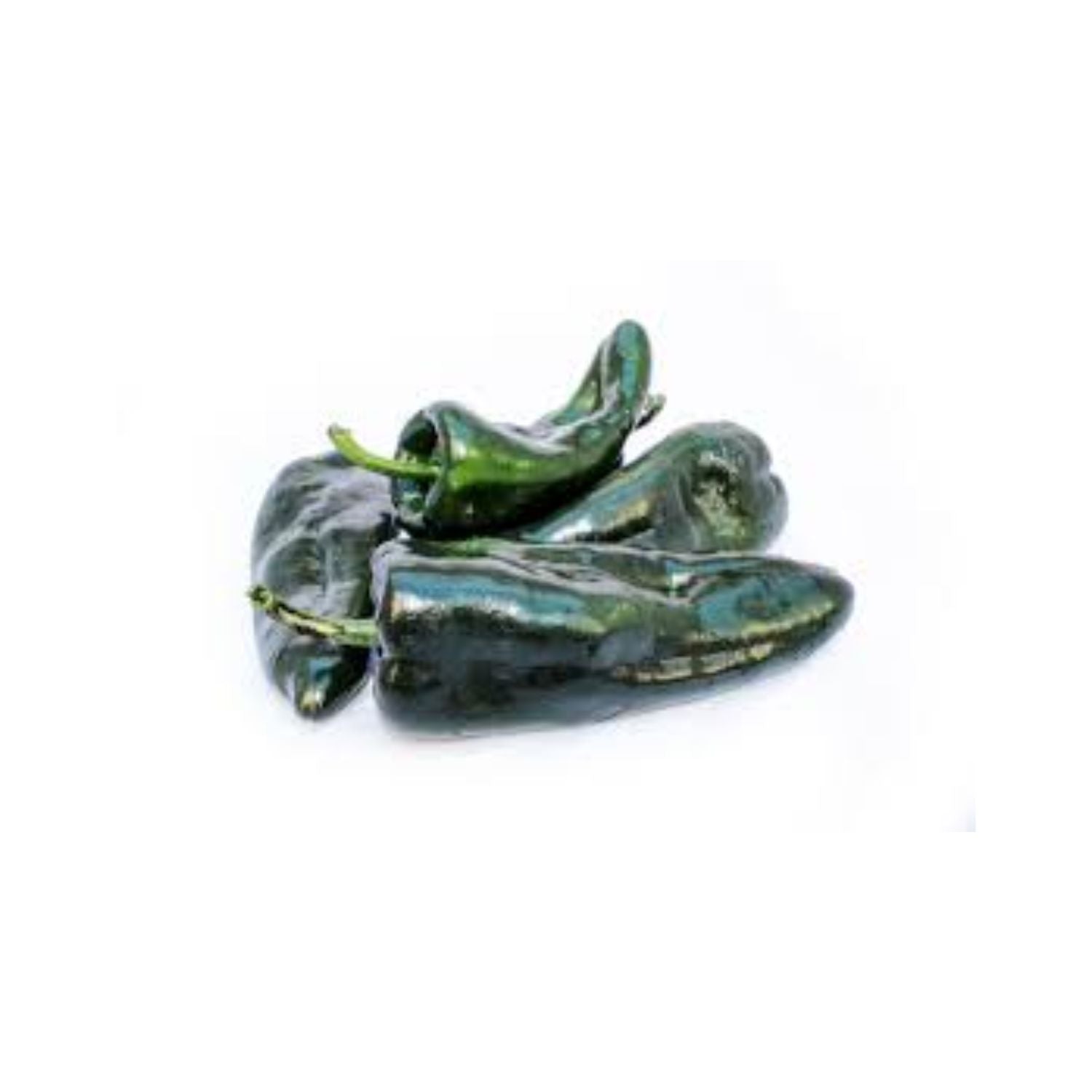 Poblano