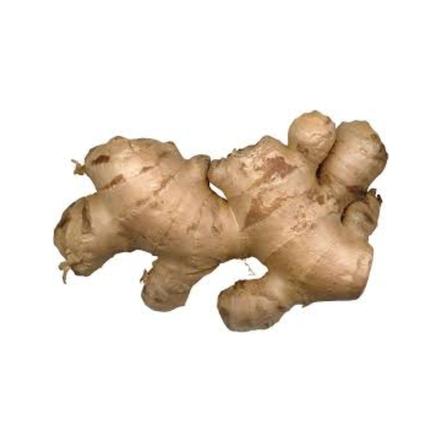 Ginger
