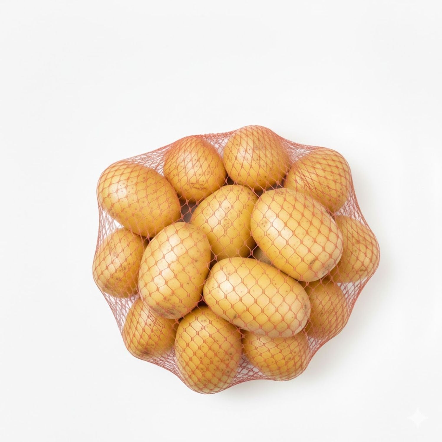 Potato Yukon Gold