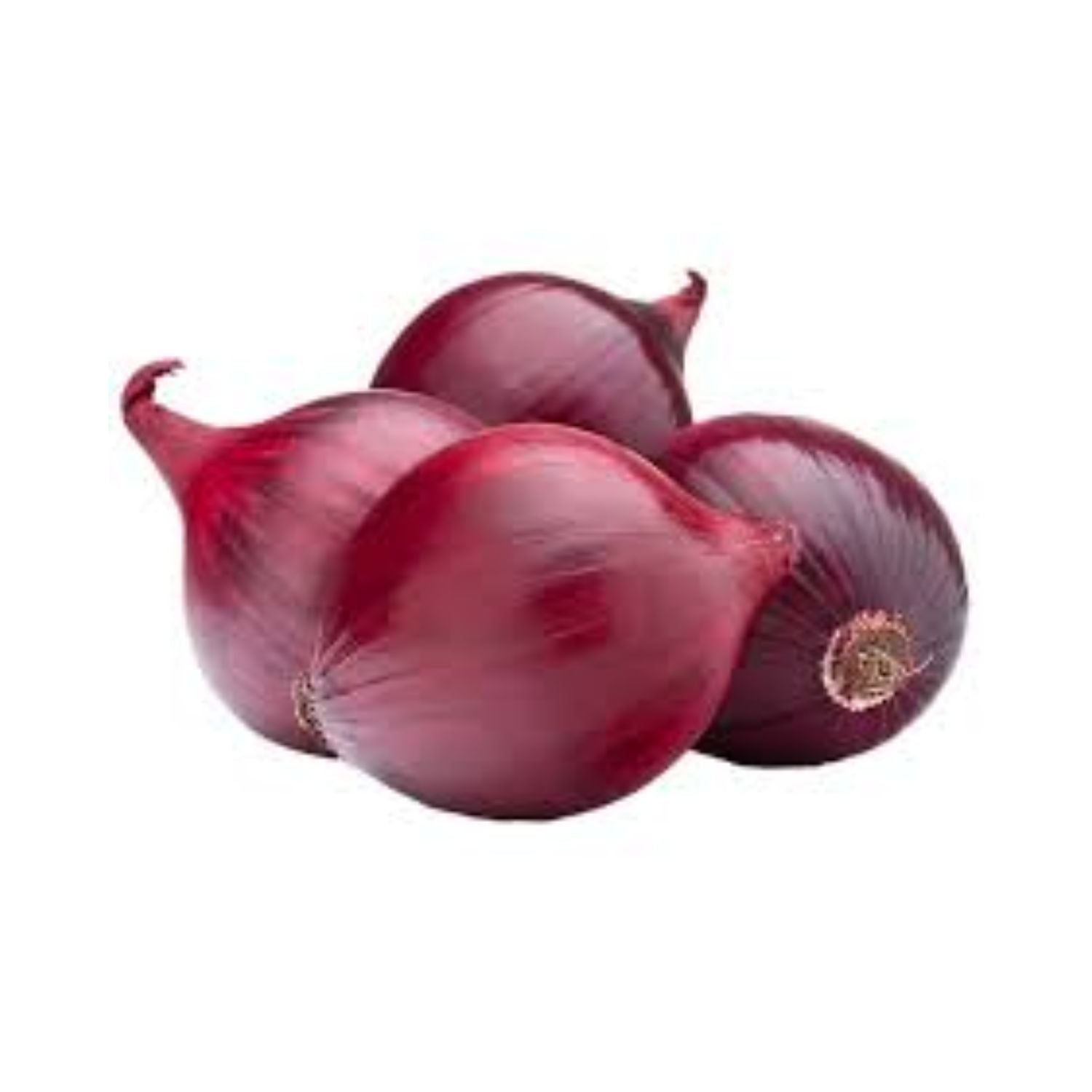 Onion Red