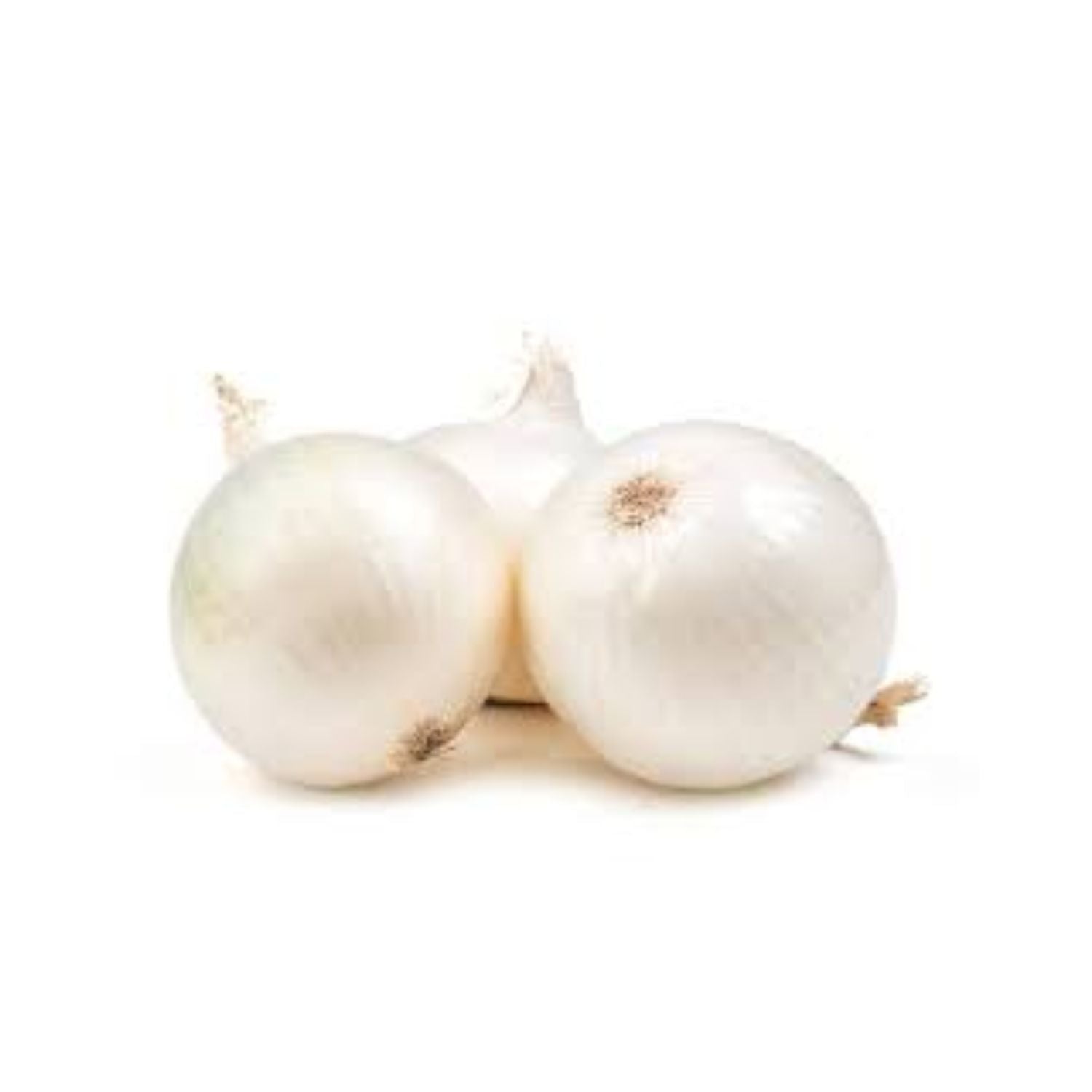 Onion White