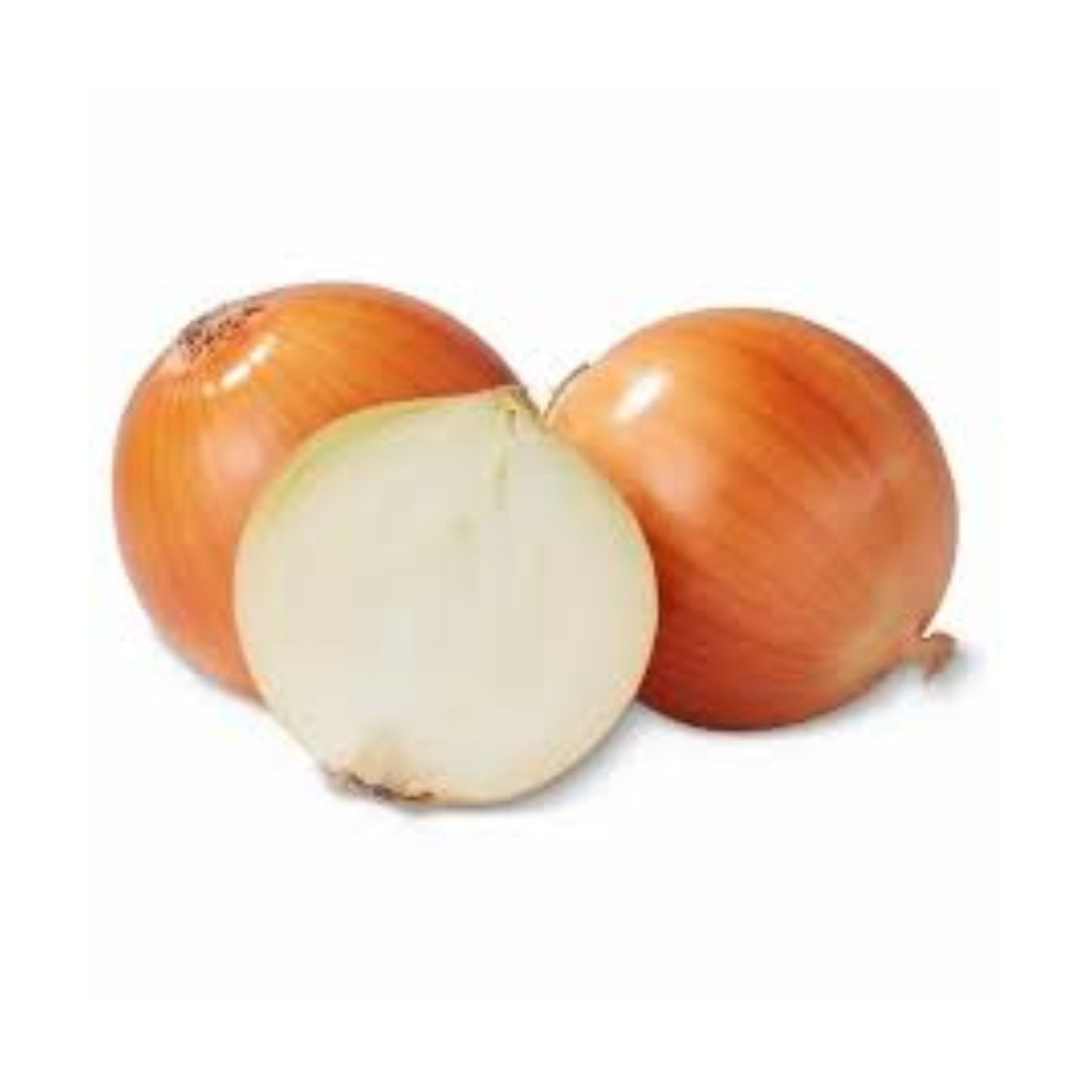 Onion Yellow