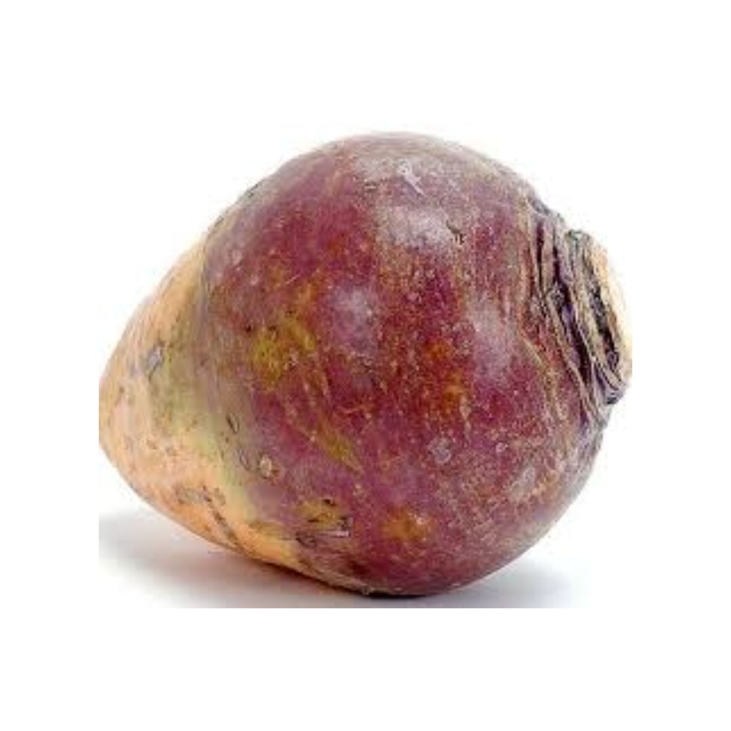 Rutabaga