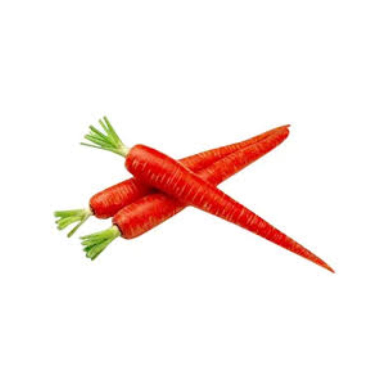 Carrot Red