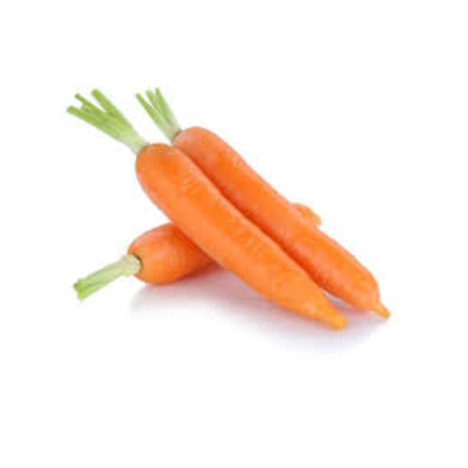 Carrot