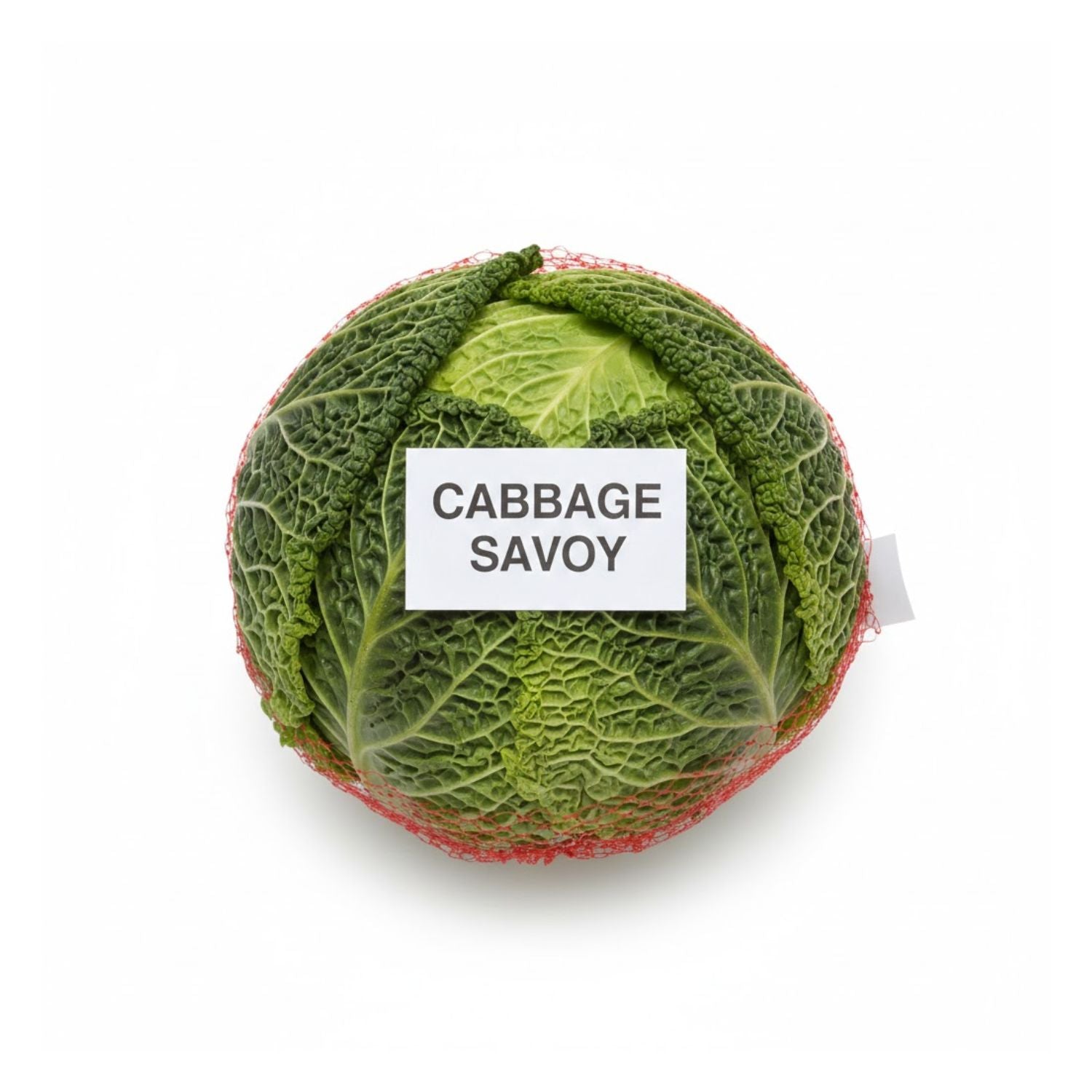 Cabbage Savoy