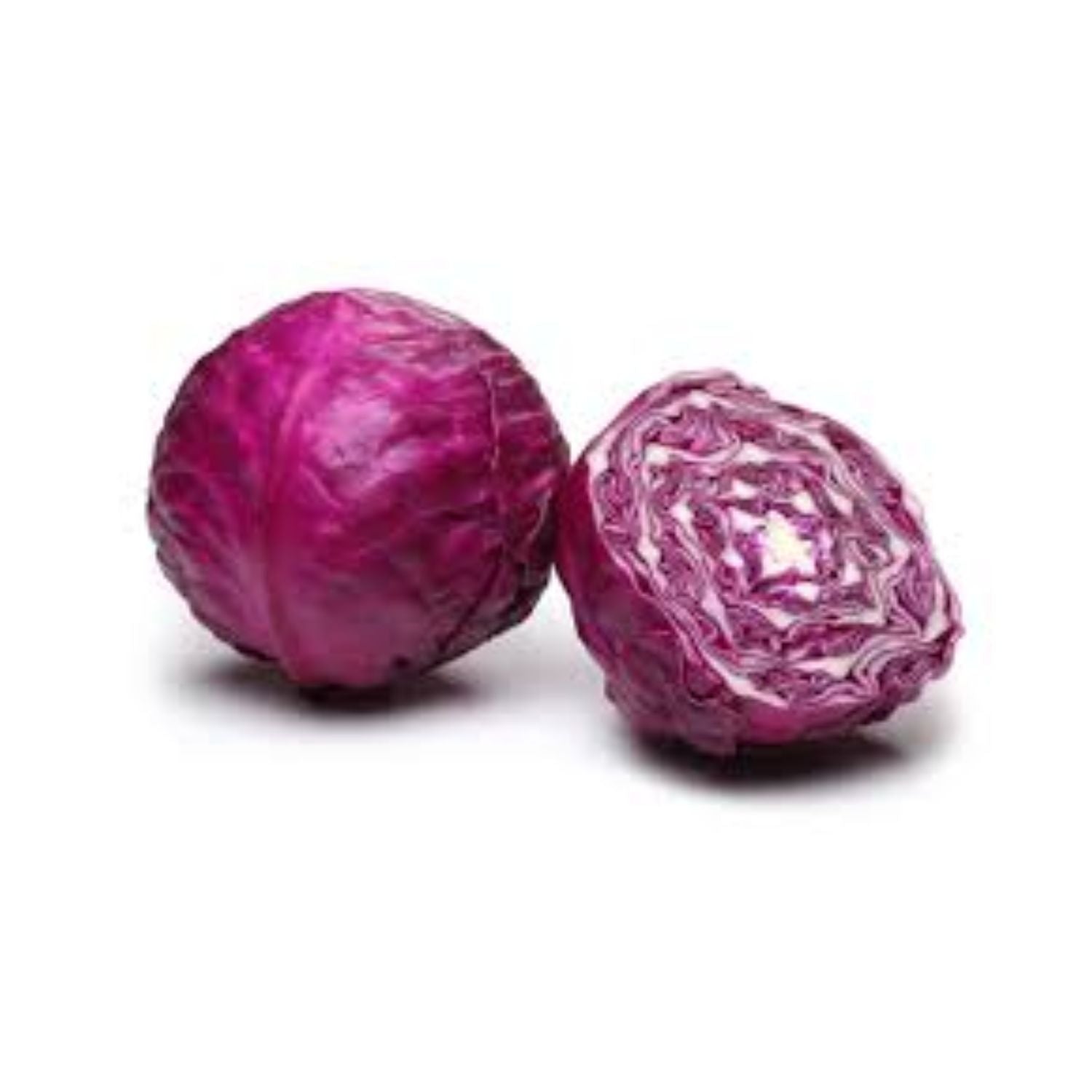 Cabbage Red
