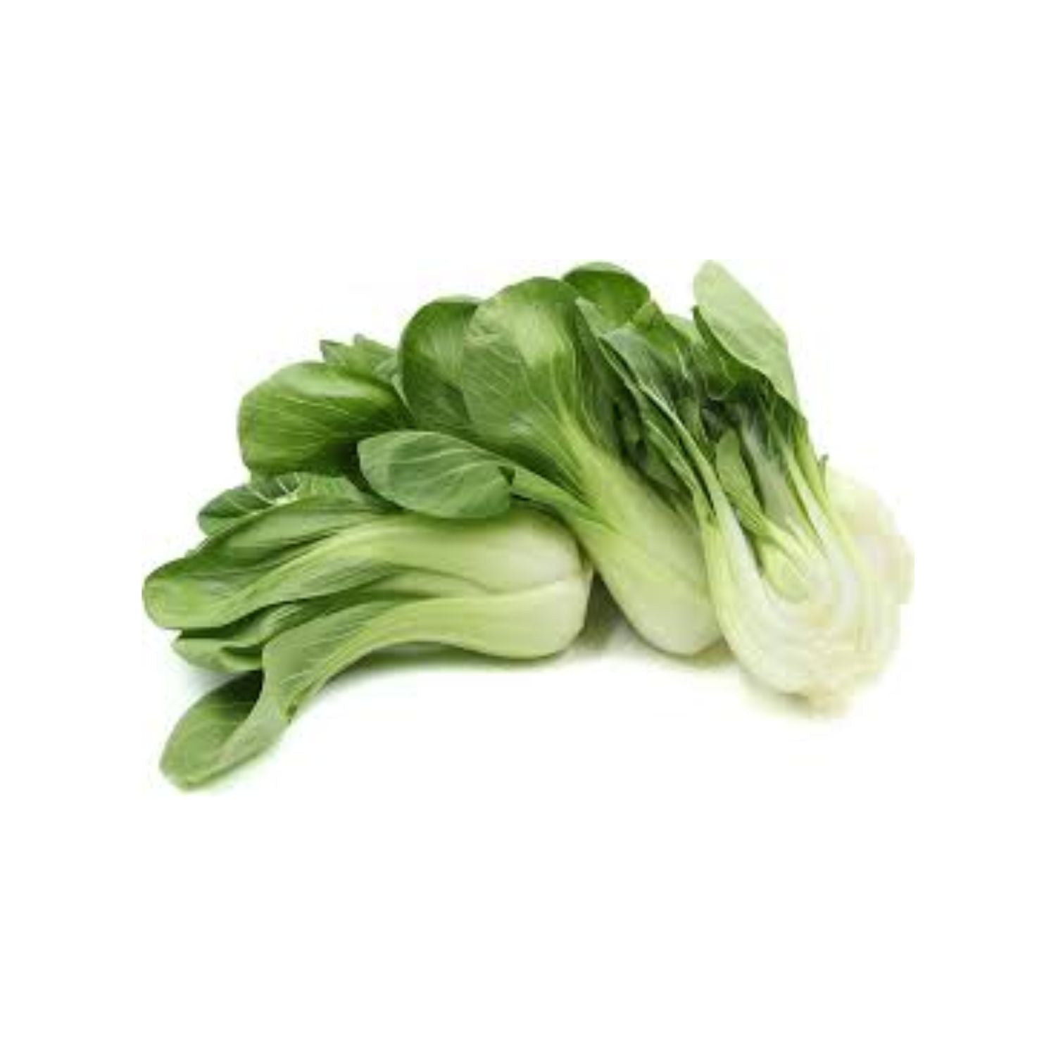 Bok Choy Baby