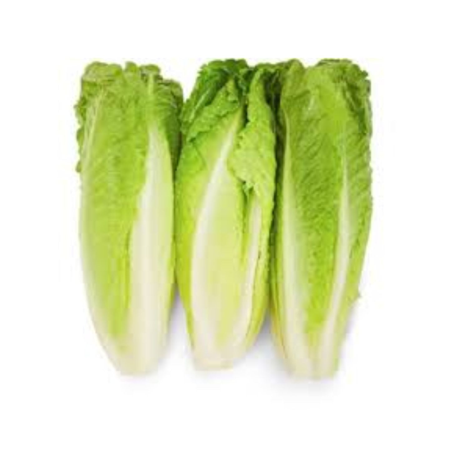 Lettuce Romaine Heart